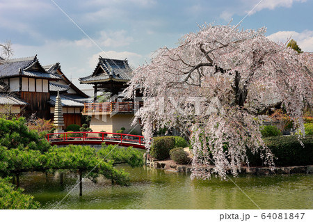 宇賀神社 宇賀神社 64081847