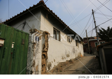 路地 レンギョウ 近所 64081974
