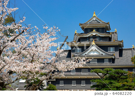 岡山城 64082220