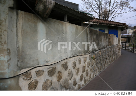 路地 レンギョウ 松 64082394