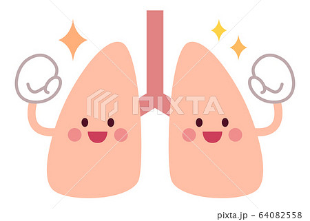 元気で健康な肺のイラスト素材