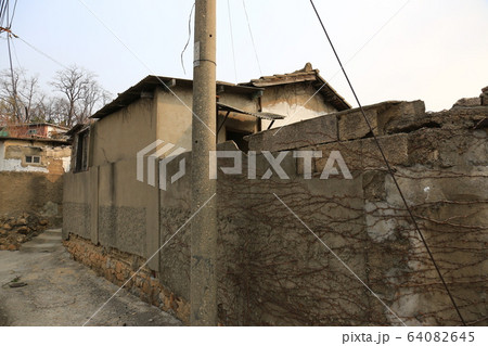 路地 レンギョウ 道 64082645