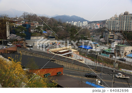 路地 レンギョウ 道 64082696