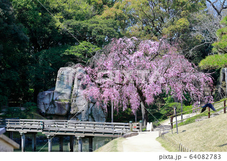 後楽園 64082783