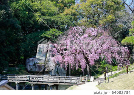 後楽園 64082784