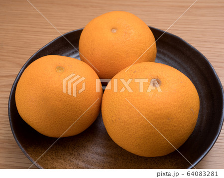 紅はっさく 紅はっさく 64083281