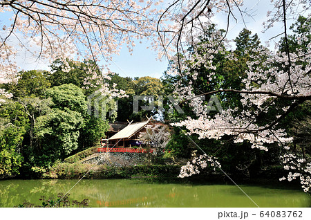 高鴨神社 64083762