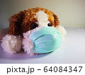 Close-up of a dog wearing a blue mask to protect corona virus and dust from 2.5 PM 64084347