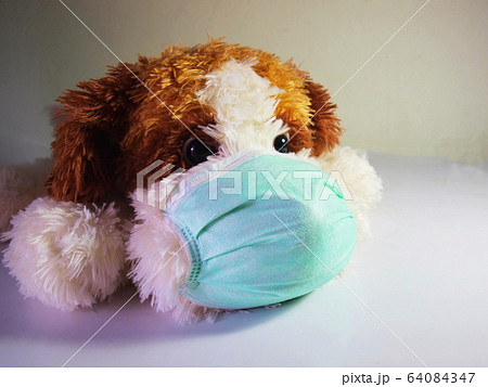 Close-up of a dog wearing a blue mask to protect corona virus and dust from 2.5 PM 64084347