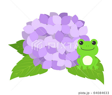 紫陽花とカエルのイラスト素材 64084633 Pixta