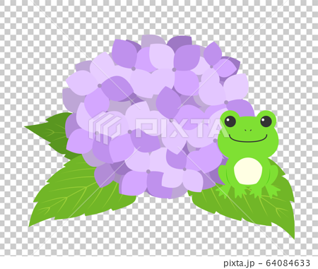 紫陽花とカエルのイラスト素材