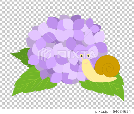 紫陽花とかたつむりのイラスト素材