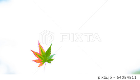 紅葉始め 64084811