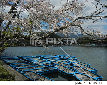 日本の川の風景:京都嵐山大堰川と遊覧ボートの発着場の風景 日本の川の風景:京都嵐山大堰川と遊覧ボートの発着場の風景 64085119