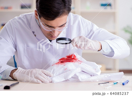 Expert criminologist working in the lab for evidence Expert criminologist working in the lab for evidence 64085237