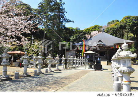 神奈川県厚木市 飯山観音(長谷寺)観音堂と桜 神奈川県厚木市 飯山観音(長谷寺)観音堂と桜 64085897