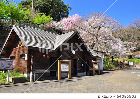 神奈川県厚木市 飯山白山森林公園駐車場施設と桜の写真素材