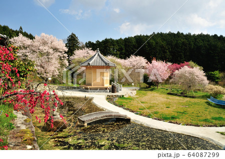 葛城古道　橋本院瞑想の庭 64087299