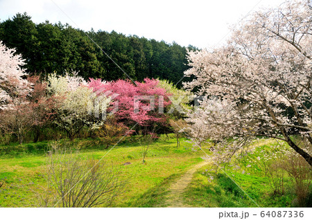 葛城古道 橋本院付近 葛城古道 橋本院付近 64087336