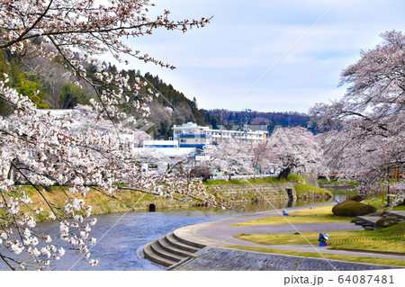 桜谷　石川町北須川の桜並木 64087481