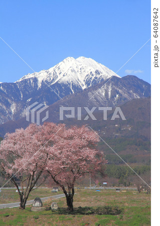 春の安曇野　道祖神と常念岳 64087642