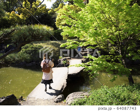 清澄庭園　石橋 64087743