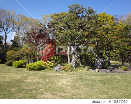 清澄庭園　広場 64087746