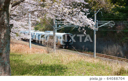 桜の下を走る電車 64088704