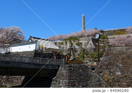 ■ 甲府城 ■ 舞鶴城公園 ■ 快晴 ■ 山梨県 ■ 桜満開 64090280