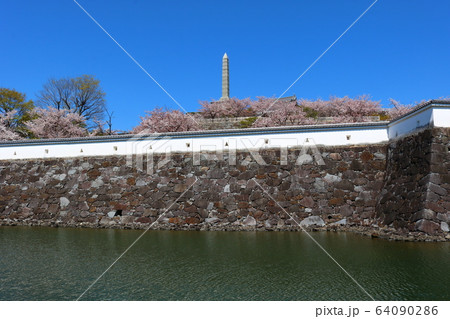 甲府城 舞鶴城公園 快晴 山梨県 桜満開の写真素材