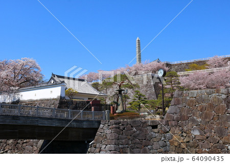 ■ 甲府城 ■ 舞鶴城公園 ■ 快晴 ■ 山梨県 ■ 桜満開 64090435