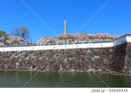 ■ 甲府城 ■ 舞鶴城公園 ■ 快晴 ■ 山梨県 ■ 桜満開 64090438