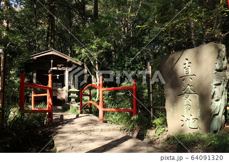 東京都国分寺市のお鷹の道散歩道真姿の池湧水群 東京都国分寺市のお鷹の道散歩道真姿の池湧水群 64091320