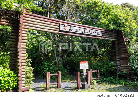 奄美自然観察の森 64092833