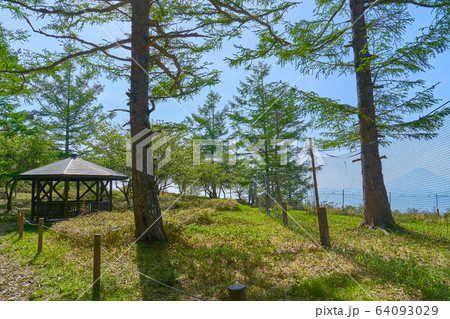 山梨の甘利山の東屋付近と富士山 山梨の甘利山の東屋付近と富士山 64093029