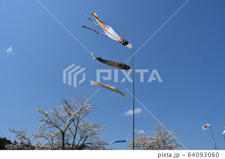 青空に泳ぐ鯉のぼり 64093060