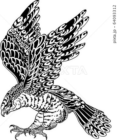 最も共有された 鷹 かっこいい イラスト カッコイイ 鷹 イラスト かっこいい