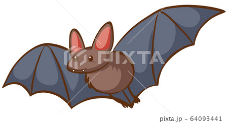 One bat flying on white backgroundのイラスト素材 [64093441] - PIXTA