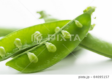 春野菜のスナップエンドウのイメージ写真 64095157