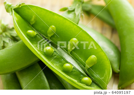 春野菜のスナップエンドウのイメージ写真 64095197