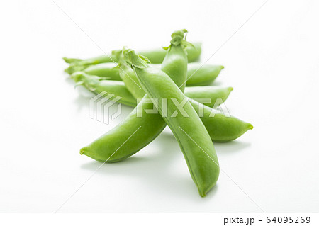 春野菜のスナップエンドウのイメージ写真 春野菜のスナップエンドウのイメージ写真 64095269