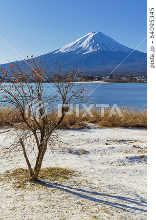 山梨_冬の富士山と残り柿 山梨_冬の富士山と残り柿 64095345