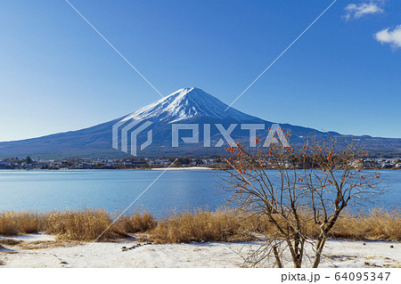 山梨_冬の富士山と残り柿 64095347