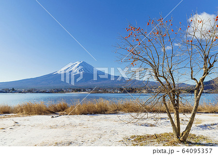 山梨_冬の富士山と残り柿 64095357