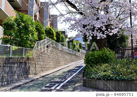 代々木上原駅周辺 さくら並木の住宅街 64095751