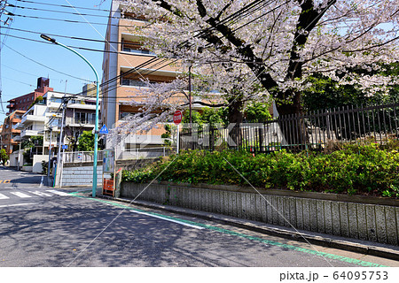 代々木上原駅周辺 さくら並木の住宅街 64095753