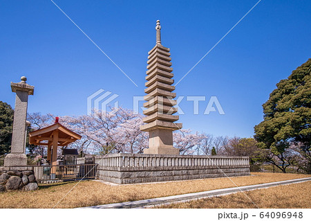 慈恩寺の玄奘塔 慈恩寺の玄奘塔 64096948