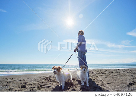 シニア男性　アクティブ　海　愛犬 64097126