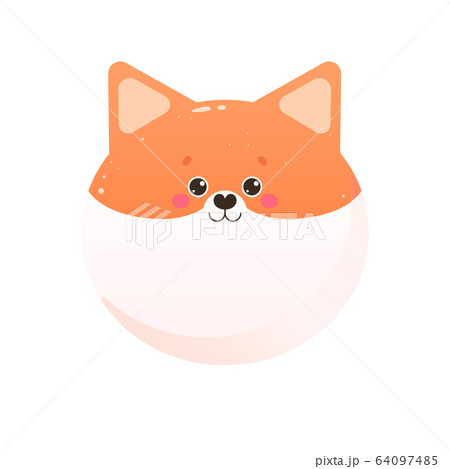 Cute Kawaii Shiba, Fox.  64097485