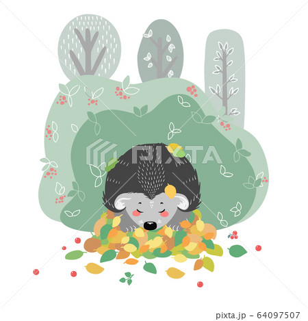 Cute hedgehog on the background of plants. Cute hedgehog on the background of plants. 64097507
